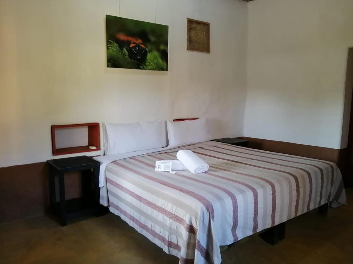 Cabanas Sierra Gorda Jalpan de Serra Exterior foto